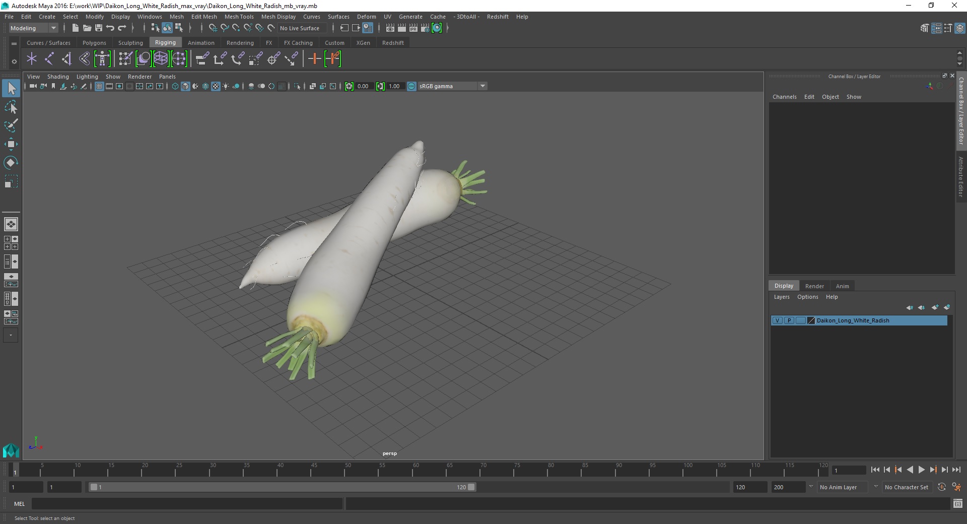 Daikon Long White Radish 3D model