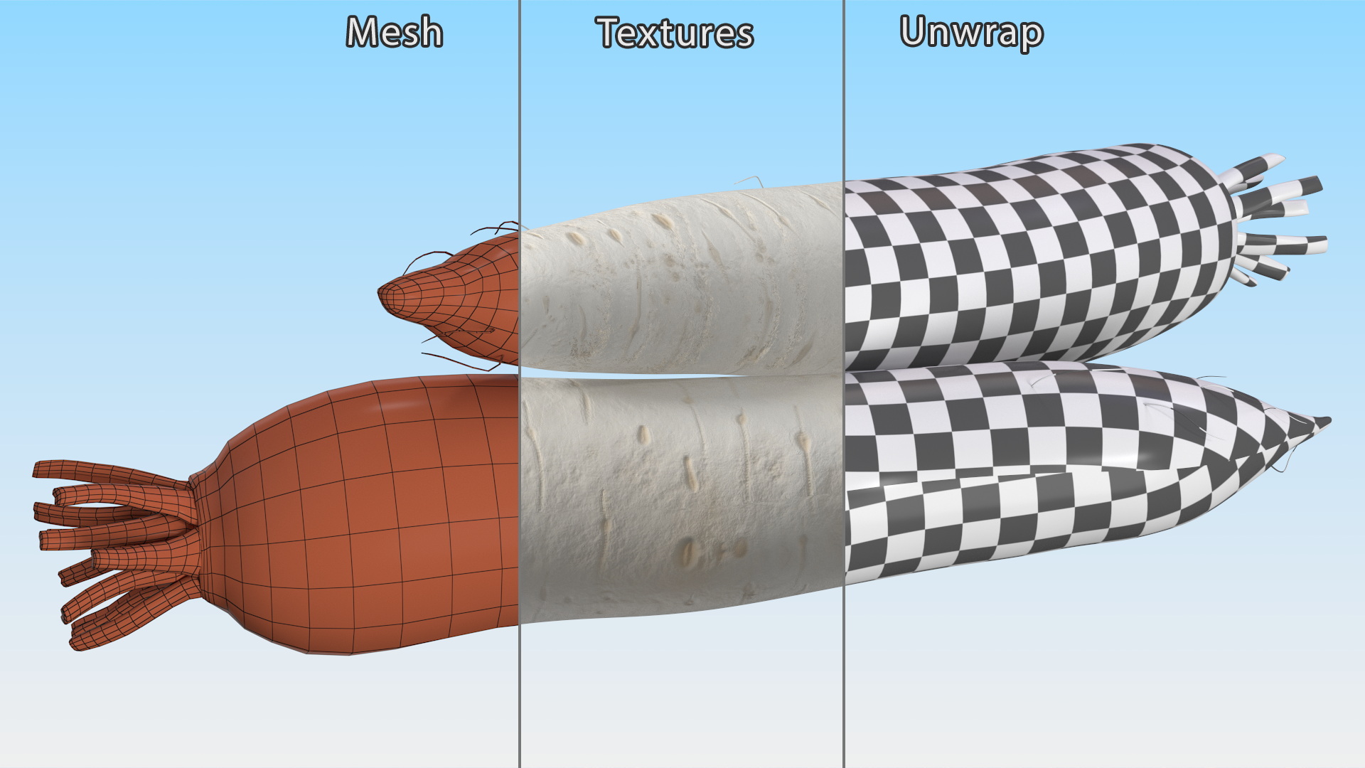 Daikon Long White Radish 3D model