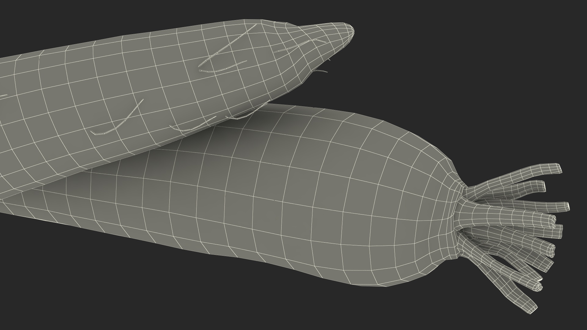 Daikon Long White Radish 3D model