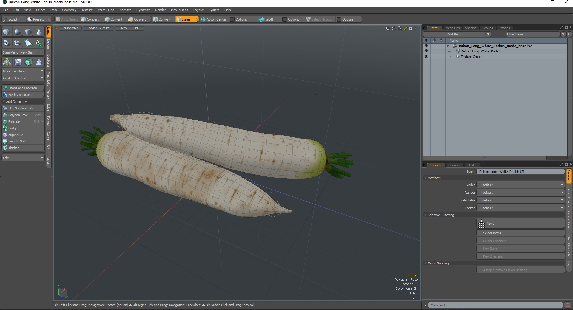 Daikon Long White Radish 3D model