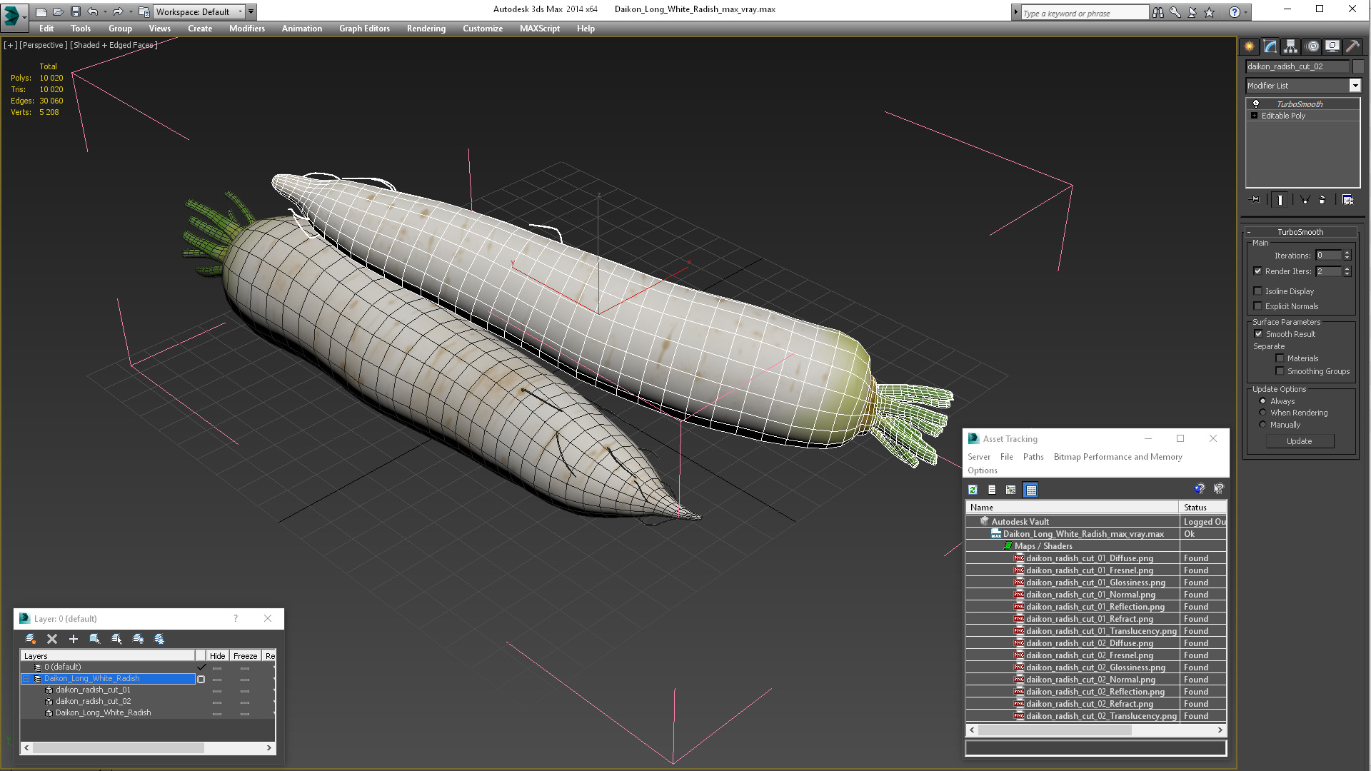Daikon Long White Radish 3D model
