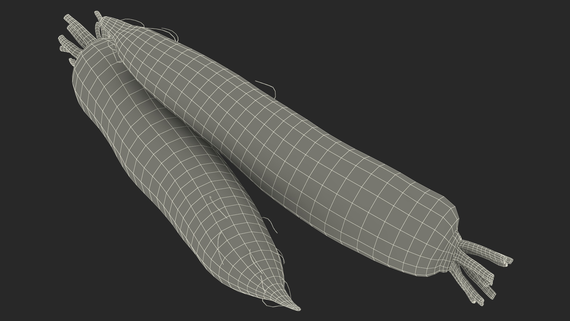 Daikon Long White Radish 3D model