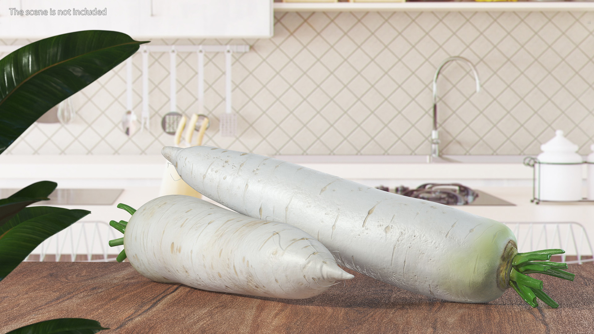Daikon Long White Radish 3D model