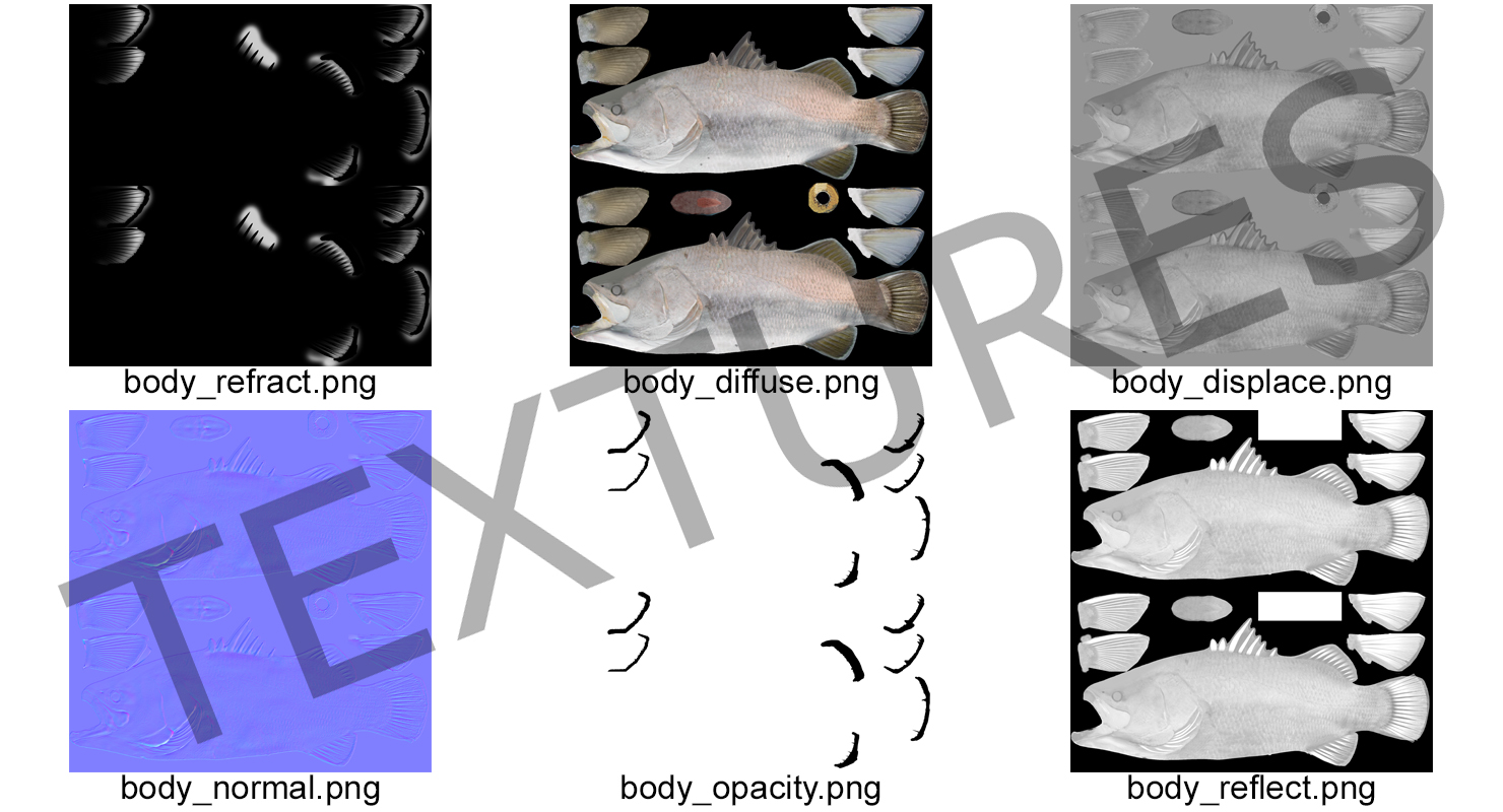 Barramundi Fish Swimming Pose 3D model