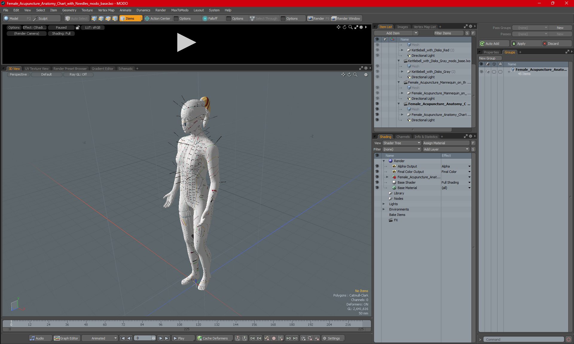 3D model Female Acupuncture Anatomy Chart with Needles