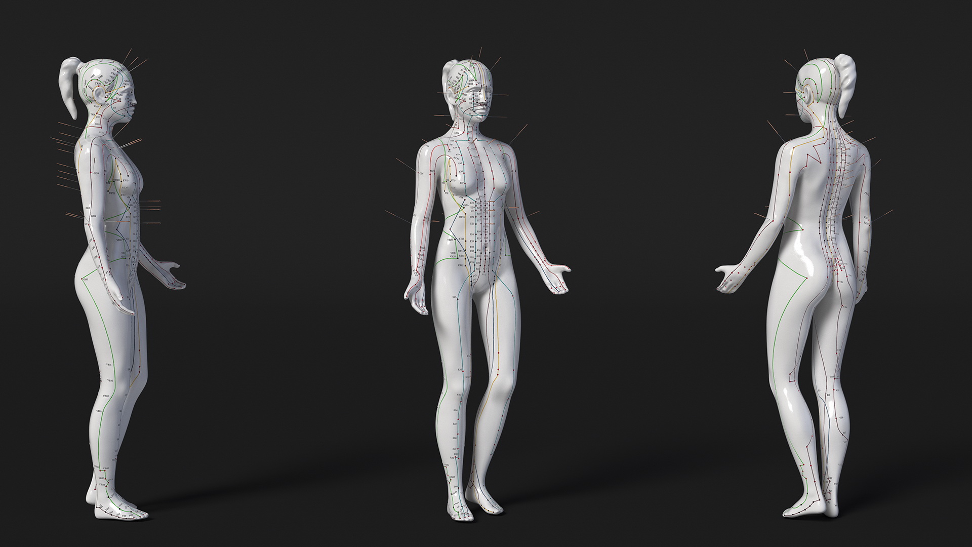 3D model Female Acupuncture Anatomy Chart with Needles