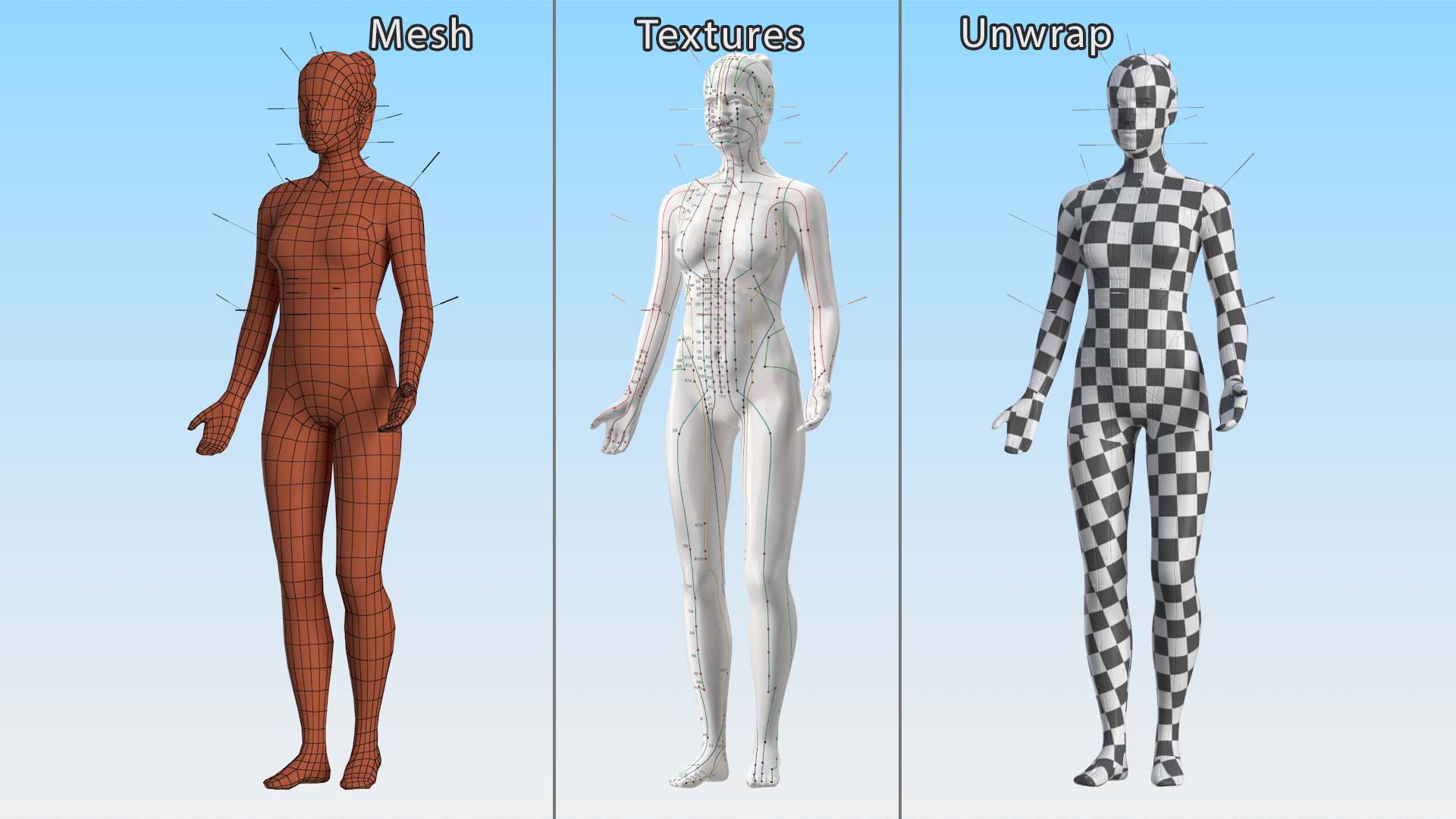 3D model Female Acupuncture Anatomy Chart with Needles