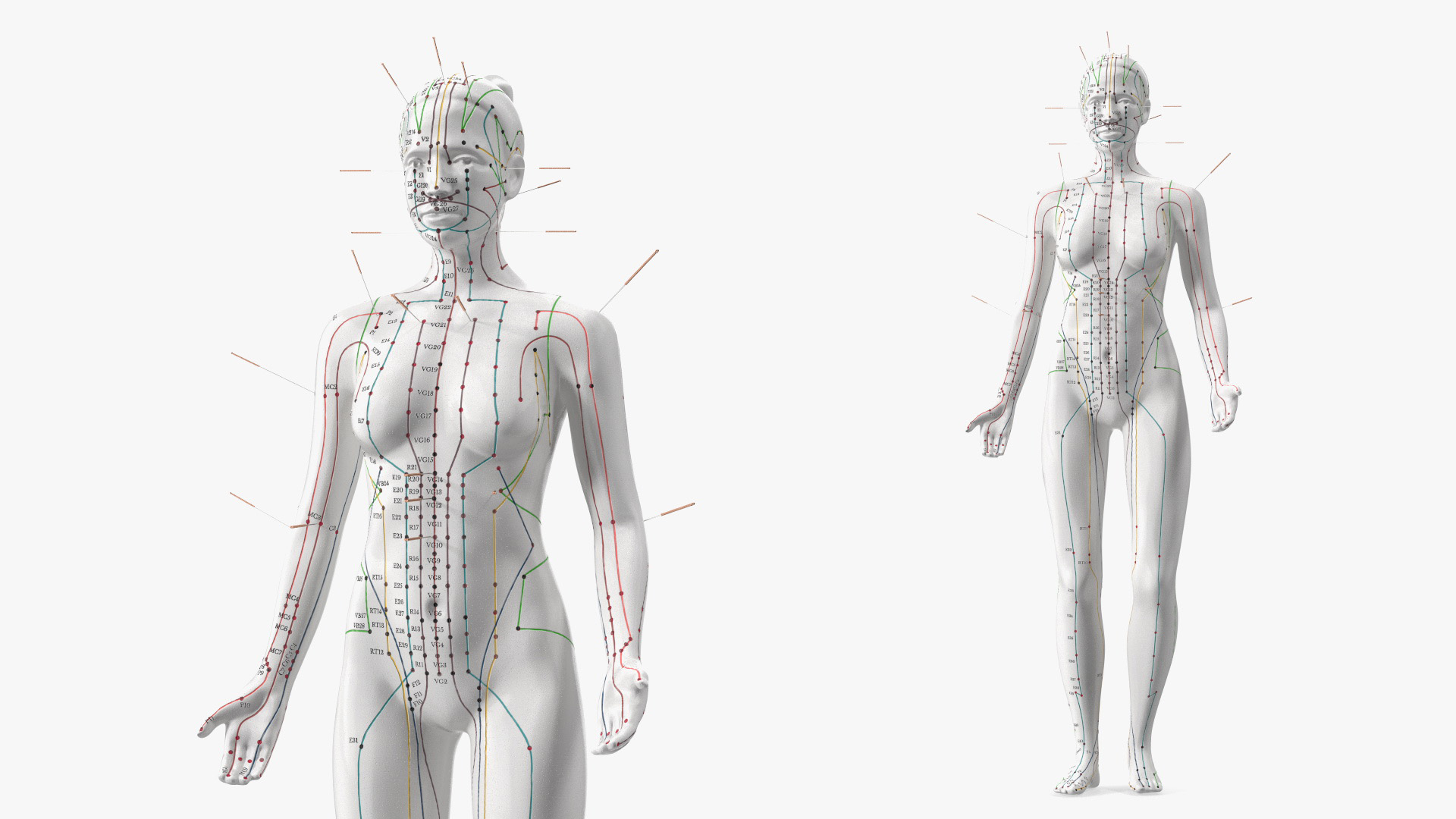 3D model Female Acupuncture Anatomy Chart with Needles