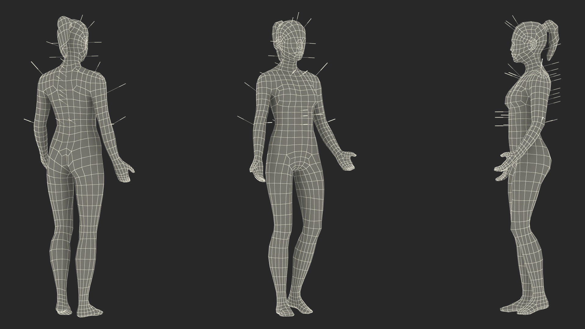 3D model Female Acupuncture Anatomy Chart with Needles