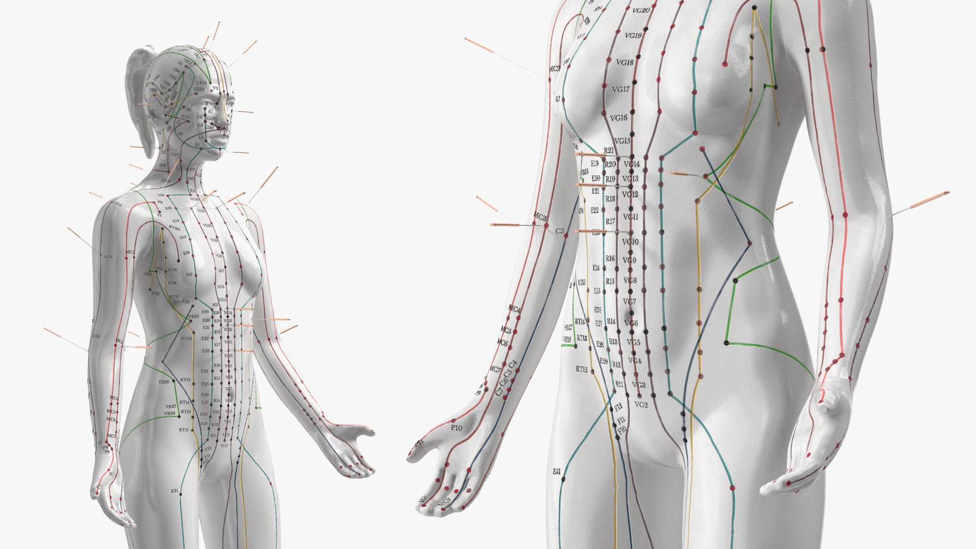 3D model Female Acupuncture Anatomy Chart with Needles