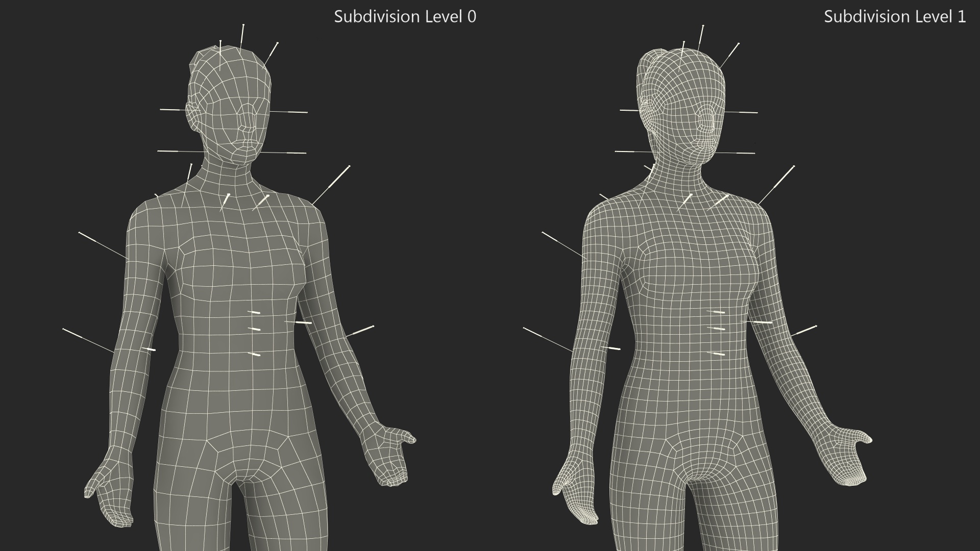 3D model Female Acupuncture Anatomy Chart with Needles
