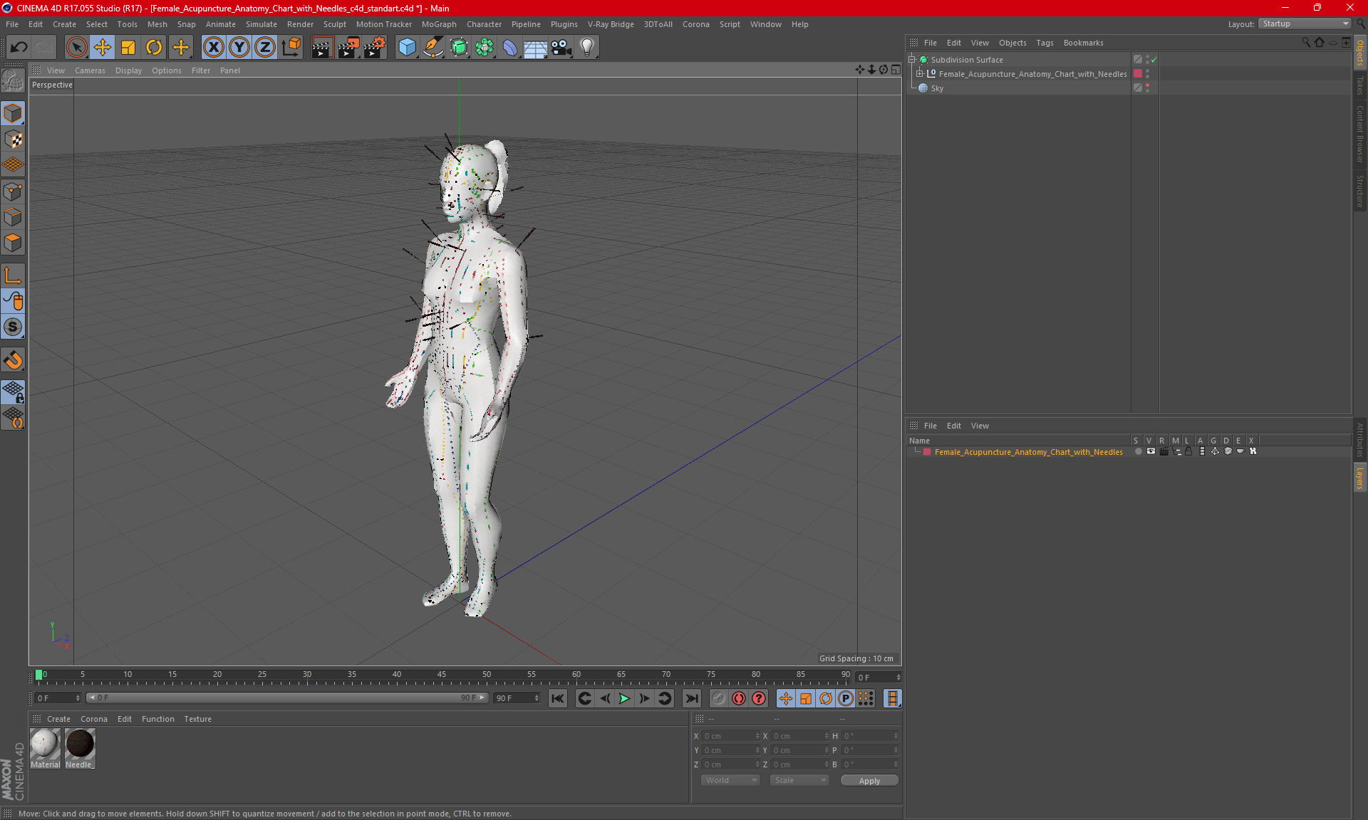 3D model Female Acupuncture Anatomy Chart with Needles