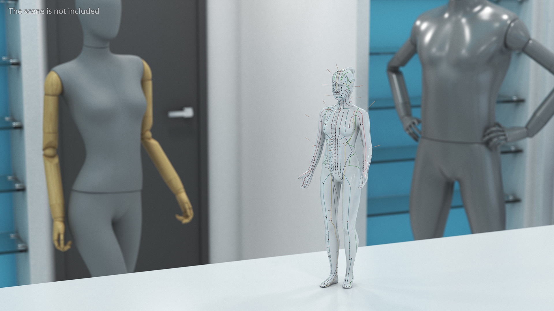 3D model Female Acupuncture Anatomy Chart with Needles