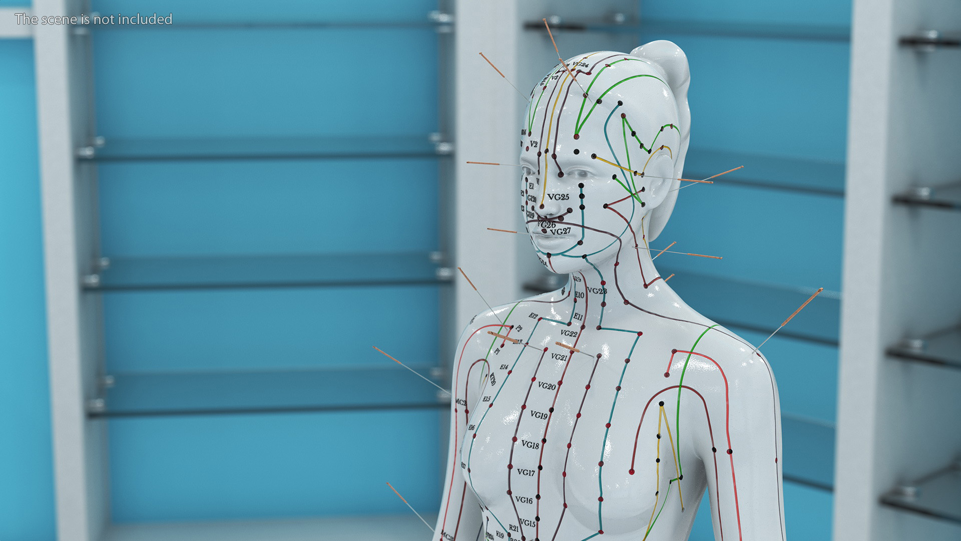 3D model Female Acupuncture Anatomy Chart with Needles
