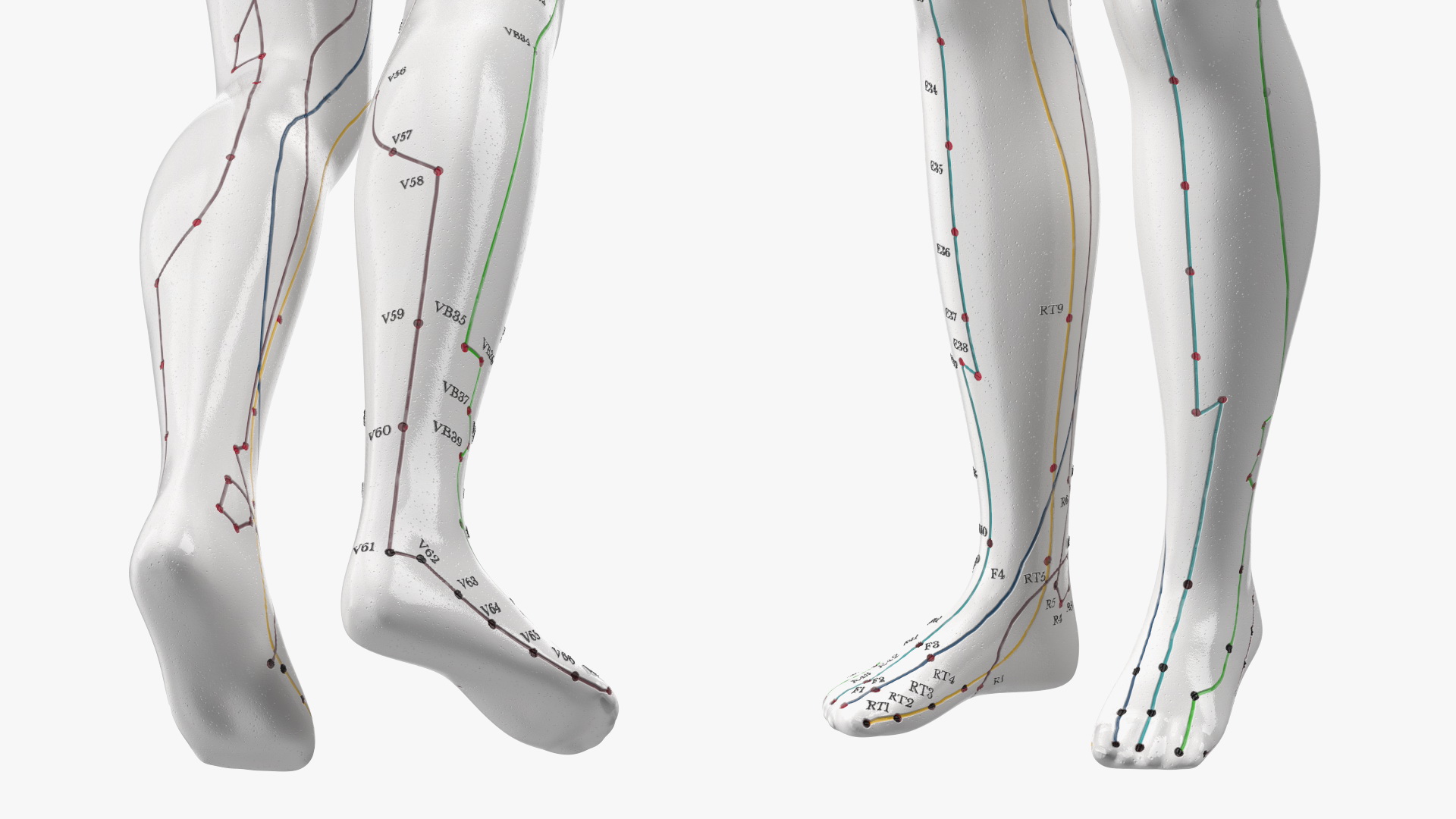 3D model Female Acupuncture Anatomy Chart with Needles