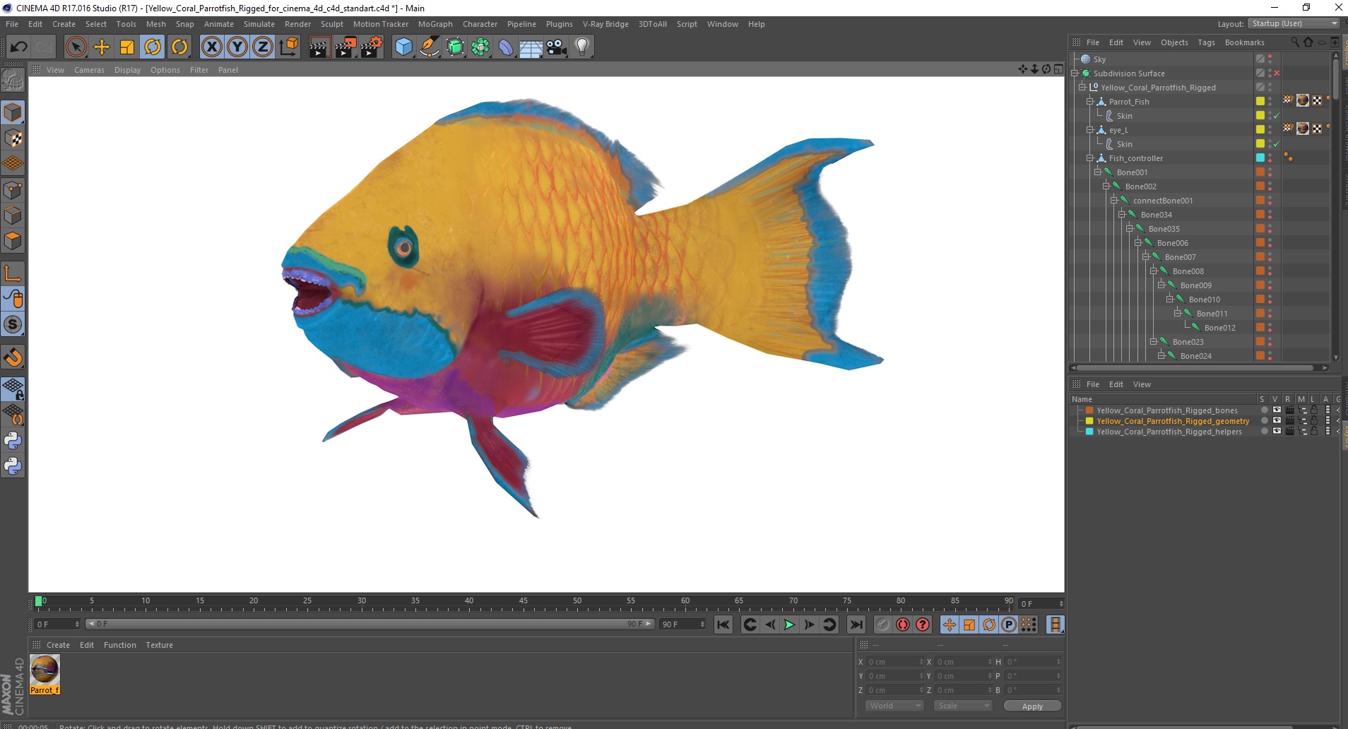 Yellow Coral Parrotfish Rigged for Cinema 4D 3D model