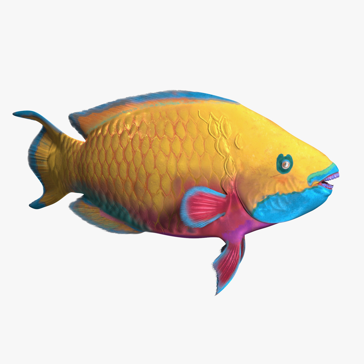 Yellow Coral Parrotfish Rigged for Cinema 4D 3D model