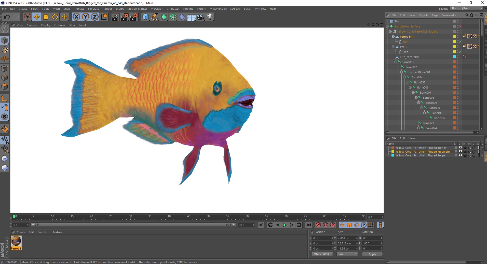 Yellow Coral Parrotfish Rigged for Cinema 4D 3D model