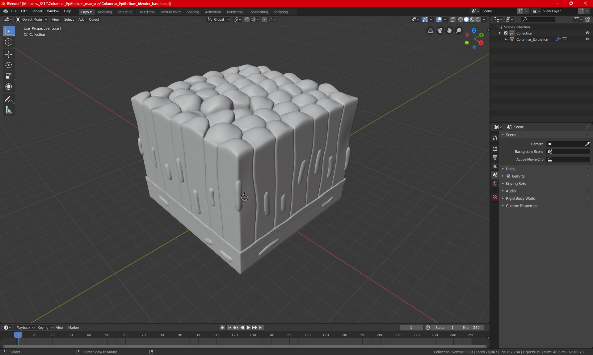 Columnar Epithelium 3D model