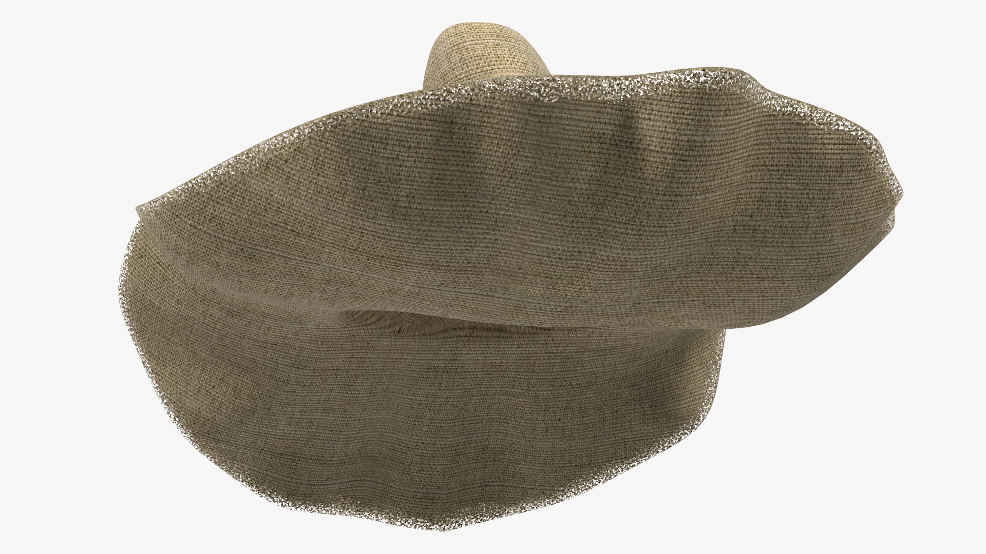 Wide Brim Straw Hat 3D model
