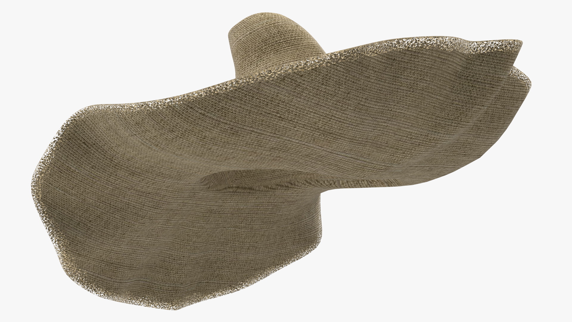 Wide Brim Straw Hat 3D model