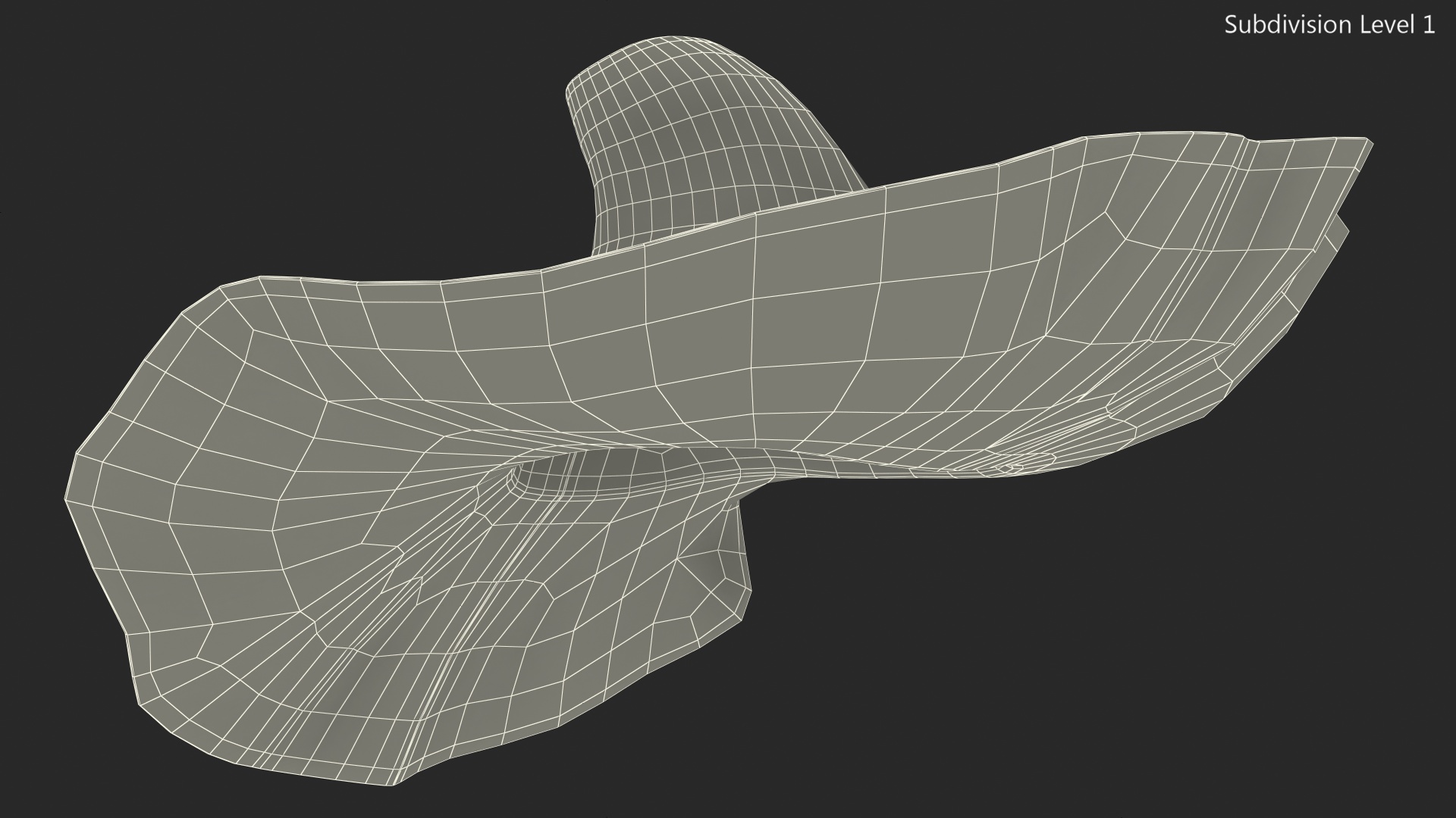 Wide Brim Straw Hat 3D model
