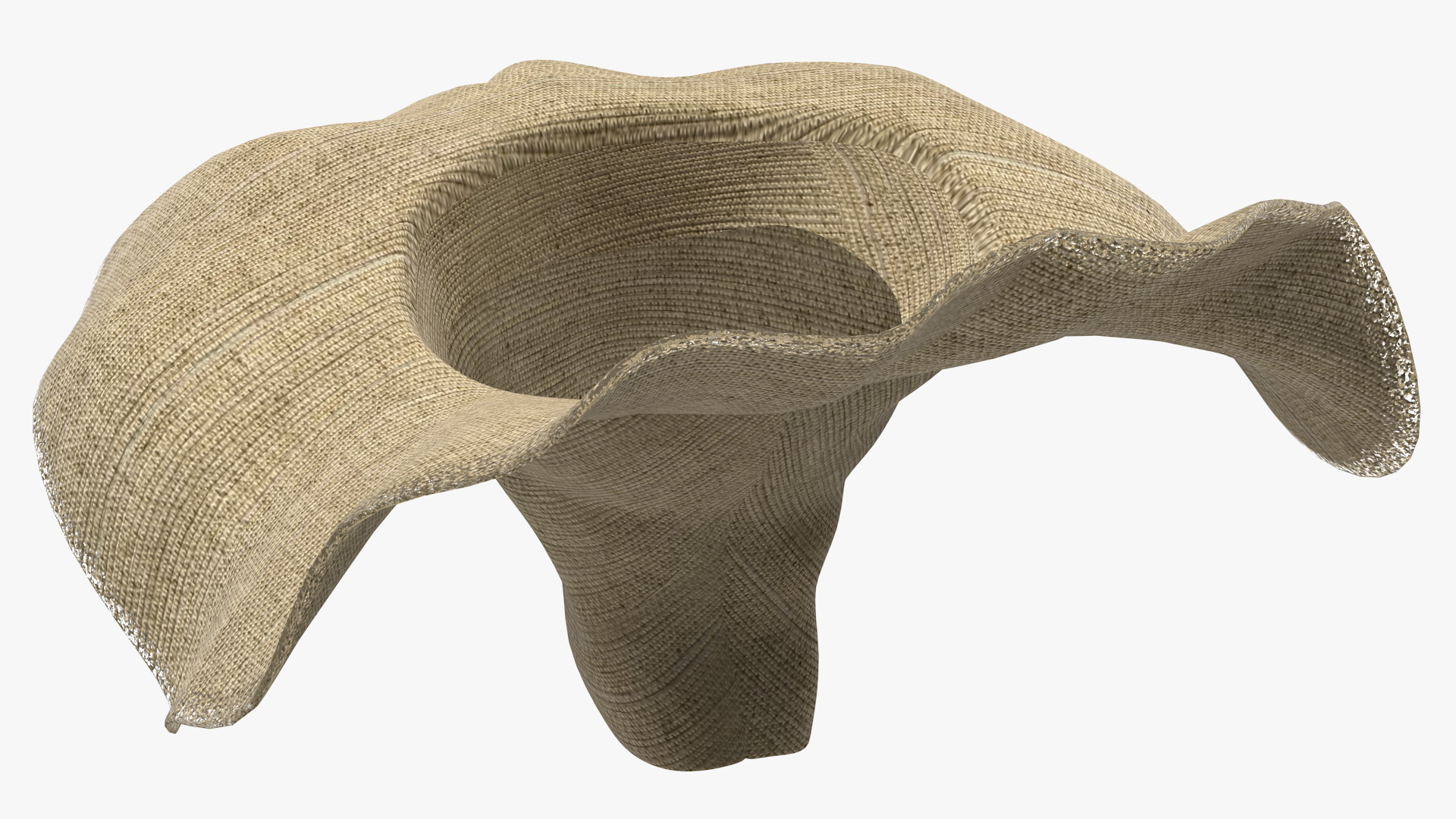 Wide Brim Straw Hat 3D model