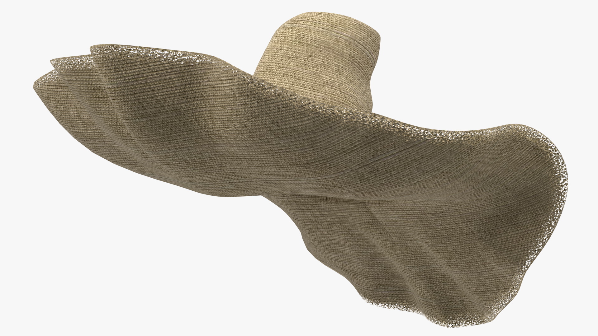 Wide Brim Straw Hat 3D model