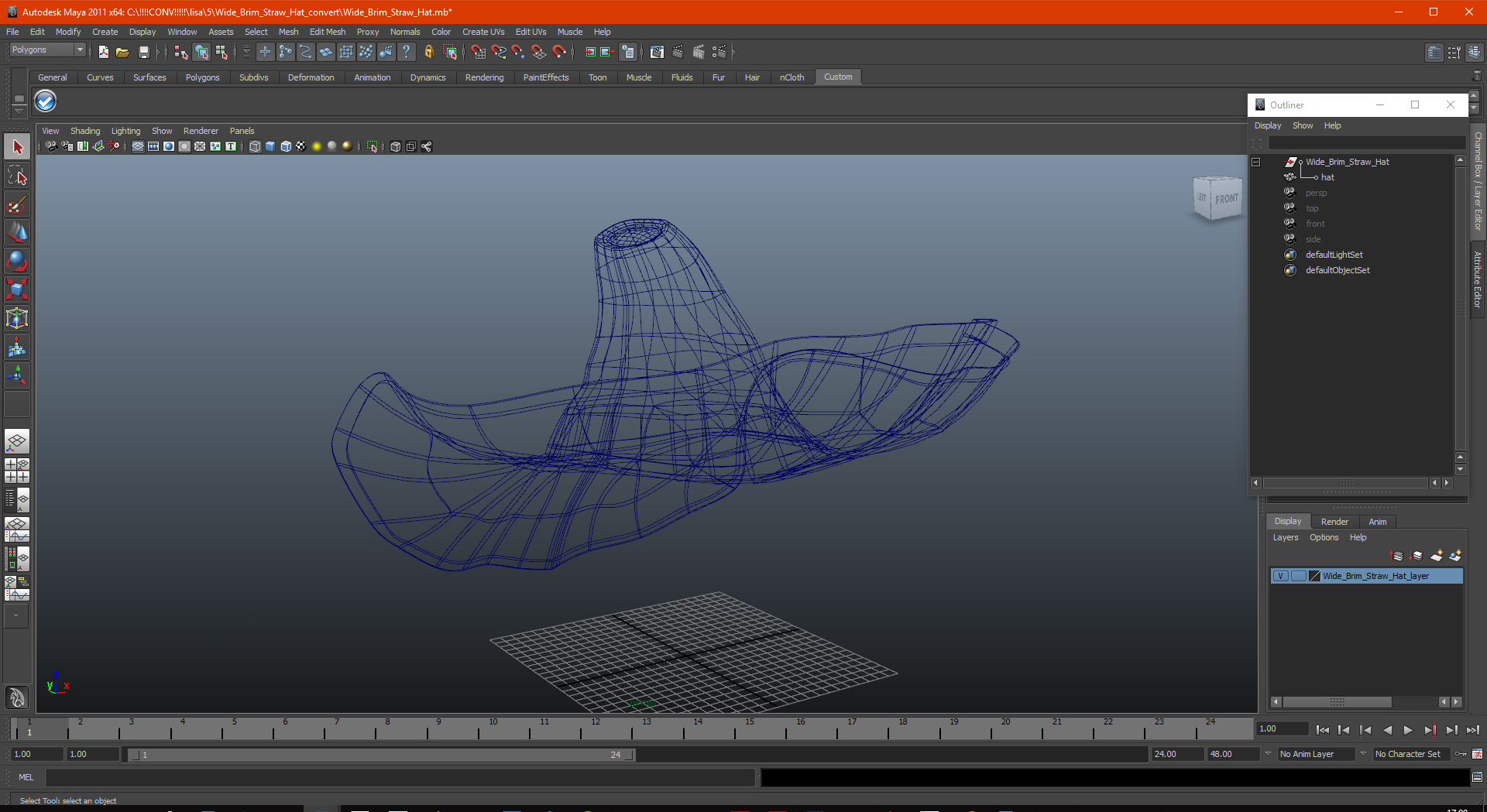 Wide Brim Straw Hat 3D model