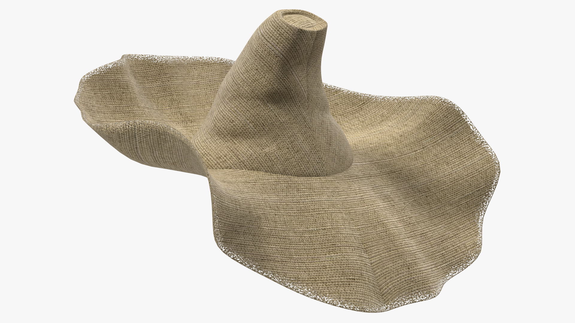 Wide Brim Straw Hat 3D model
