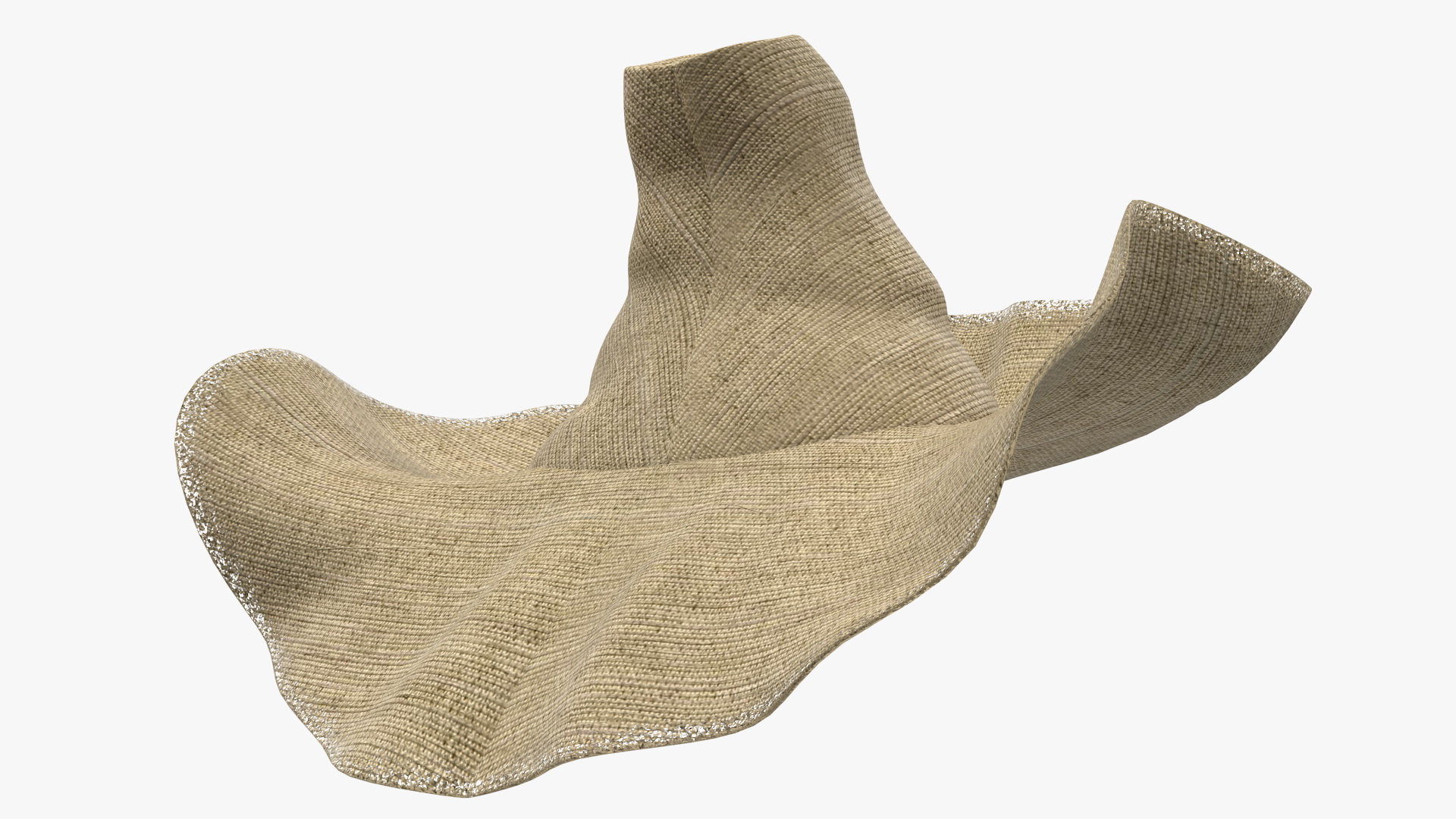 Wide Brim Straw Hat 3D model