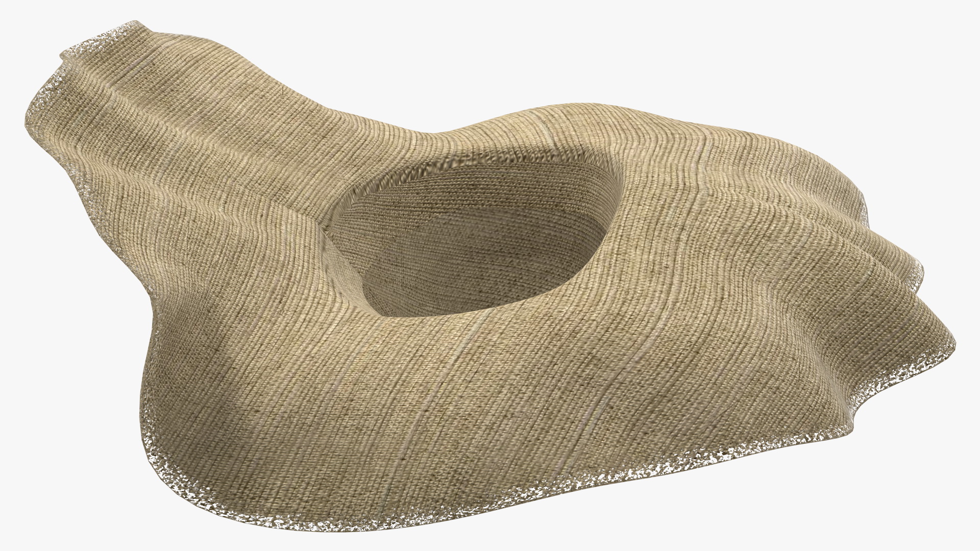 Wide Brim Straw Hat 3D model
