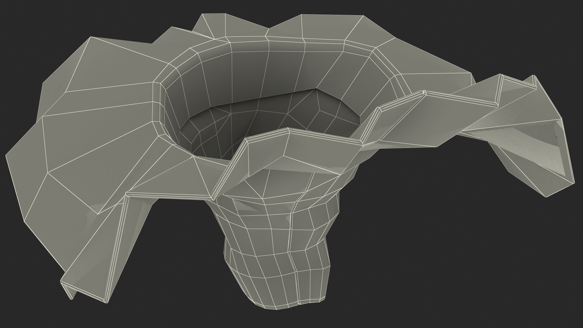 Wide Brim Straw Hat 3D model