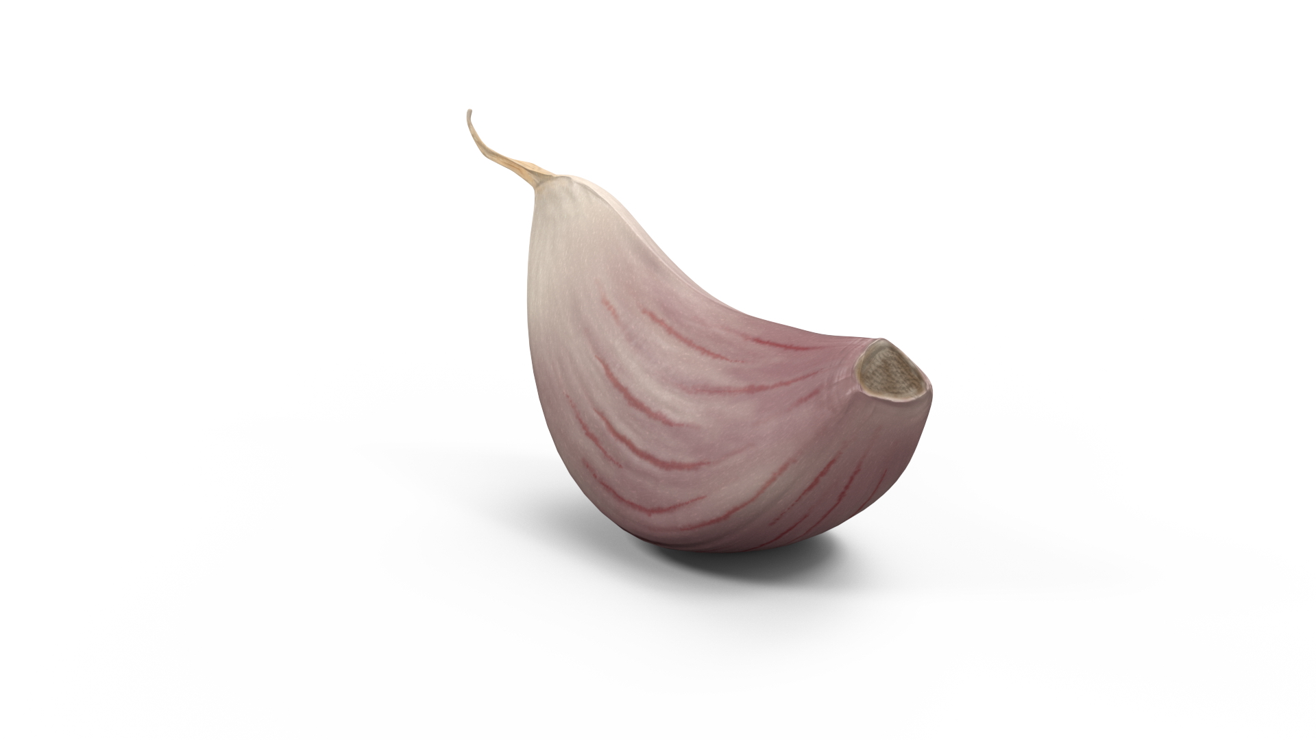 3D Clove Garlic White for 3D Print