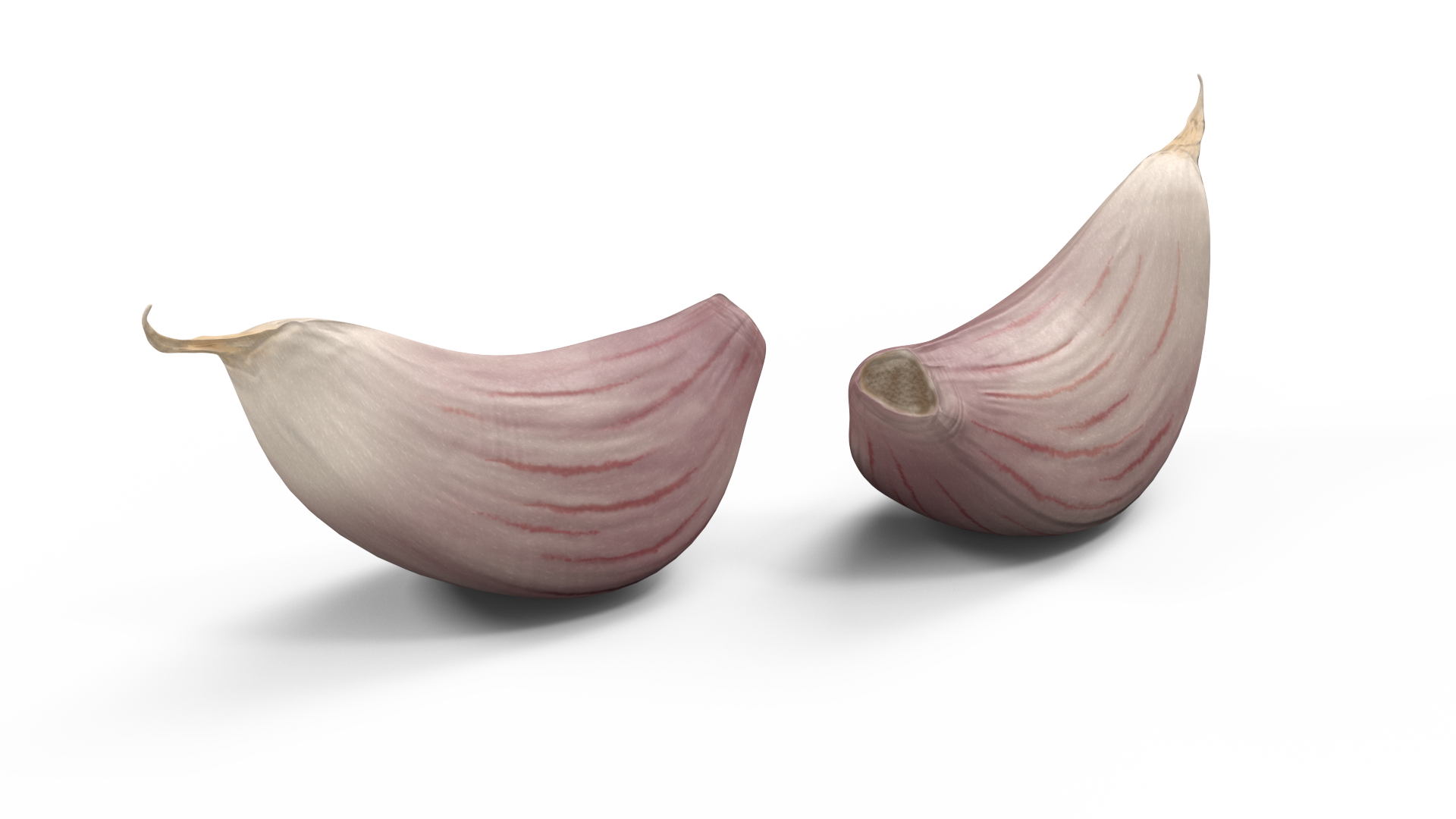 3D Clove Garlic White for 3D Print