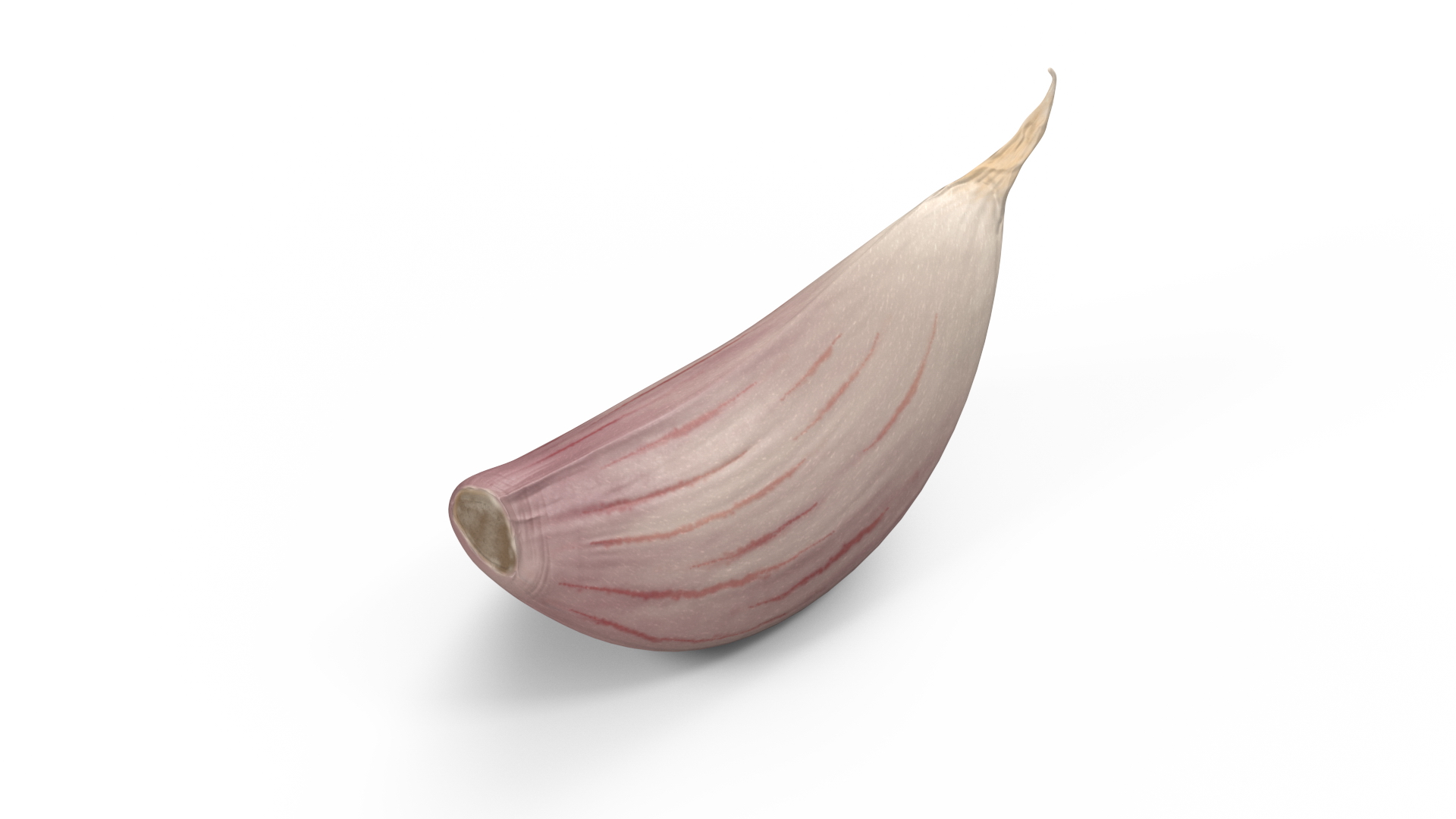 3D Clove Garlic White for 3D Print