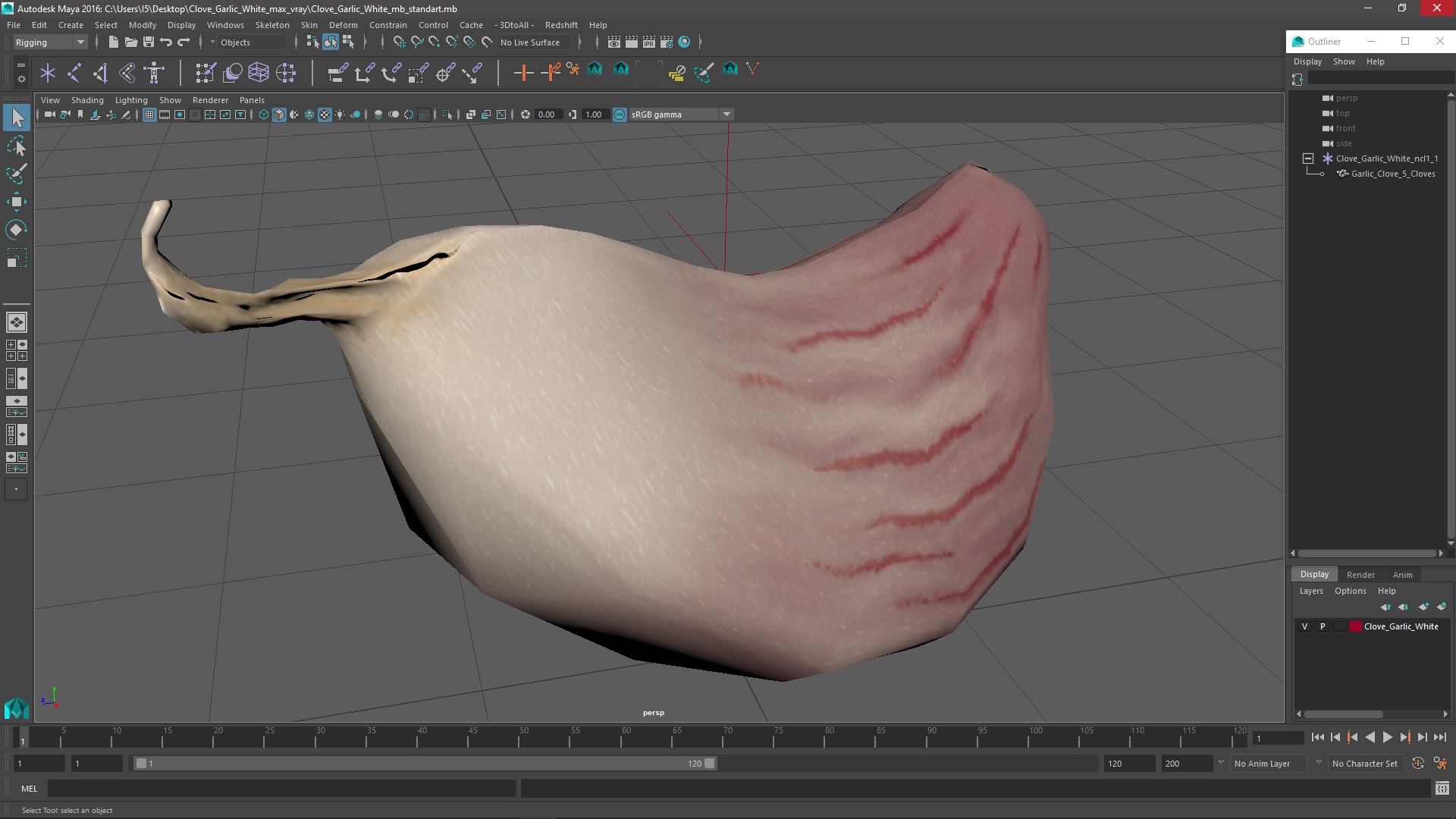 3D Clove Garlic White for 3D Print