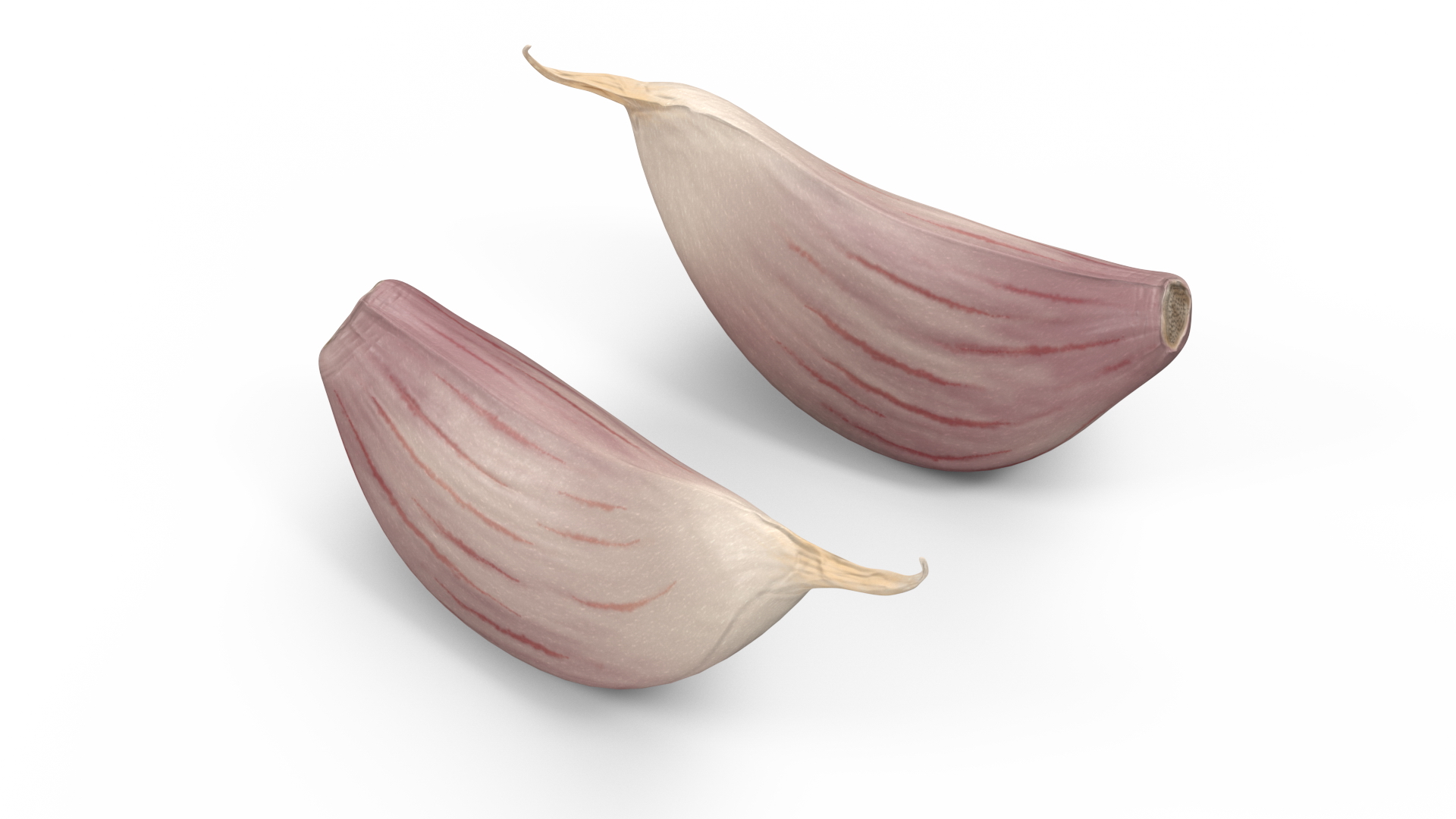 3D Clove Garlic White for 3D Print
