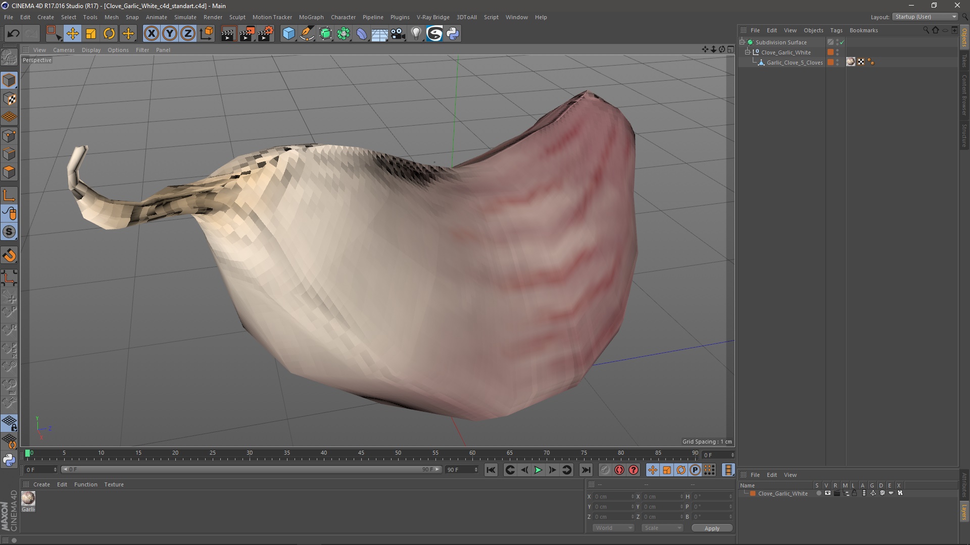 3D Clove Garlic White for 3D Print