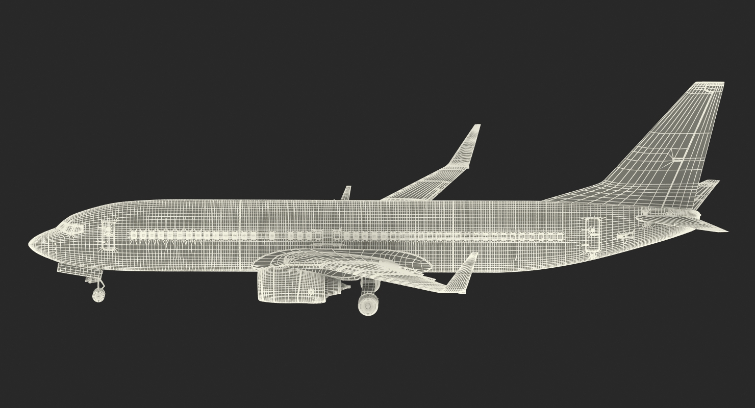 Boeing 737 800 United Airlines Rigged 3D