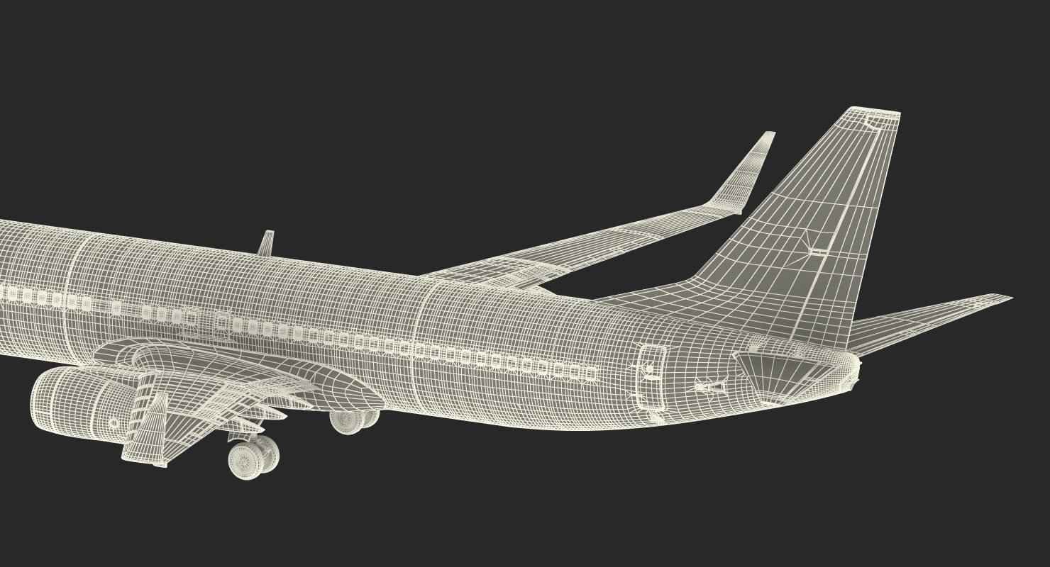 Boeing 737 800 United Airlines Rigged 3D