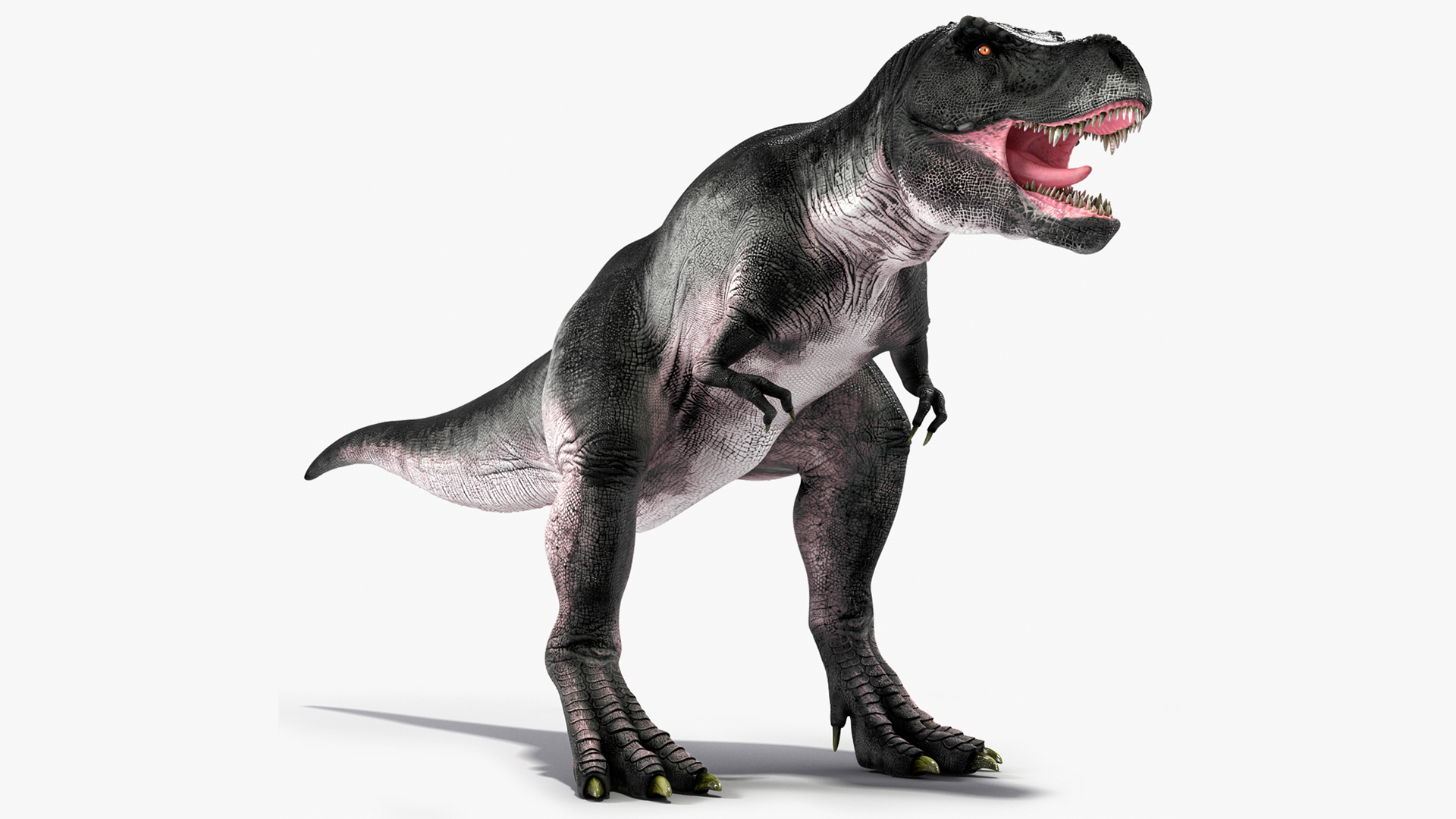 T Rex Standart Pose 3D model