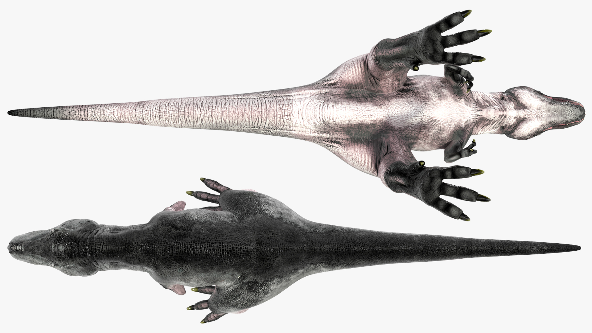 T Rex Standart Pose 3D model