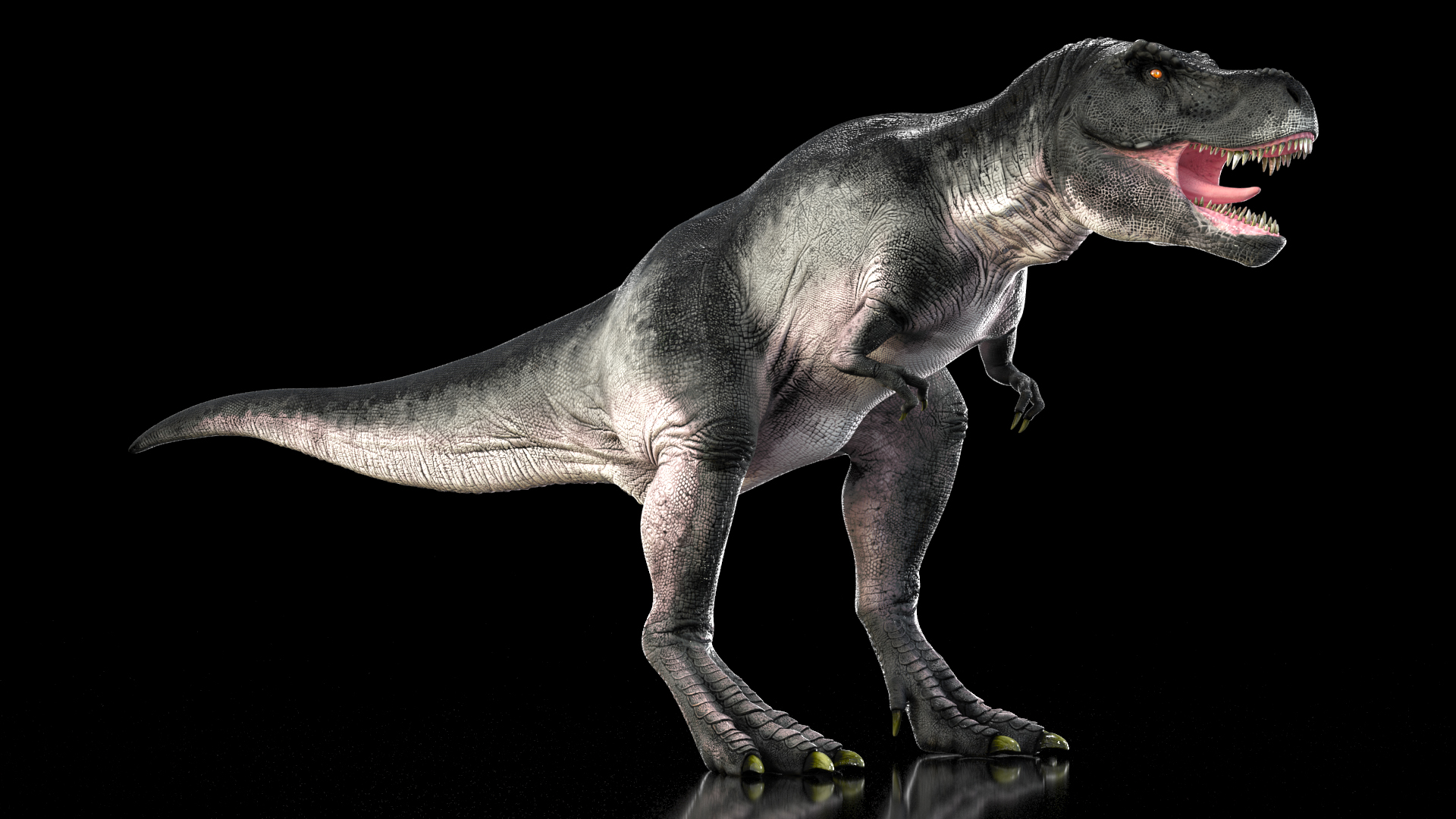 T Rex Standart Pose 3D model