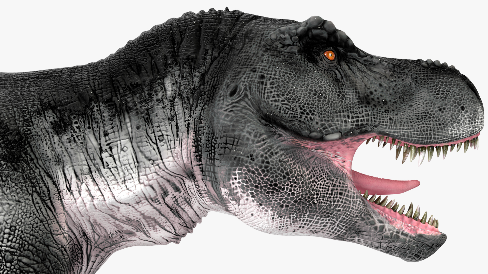 T Rex Standart Pose 3D model