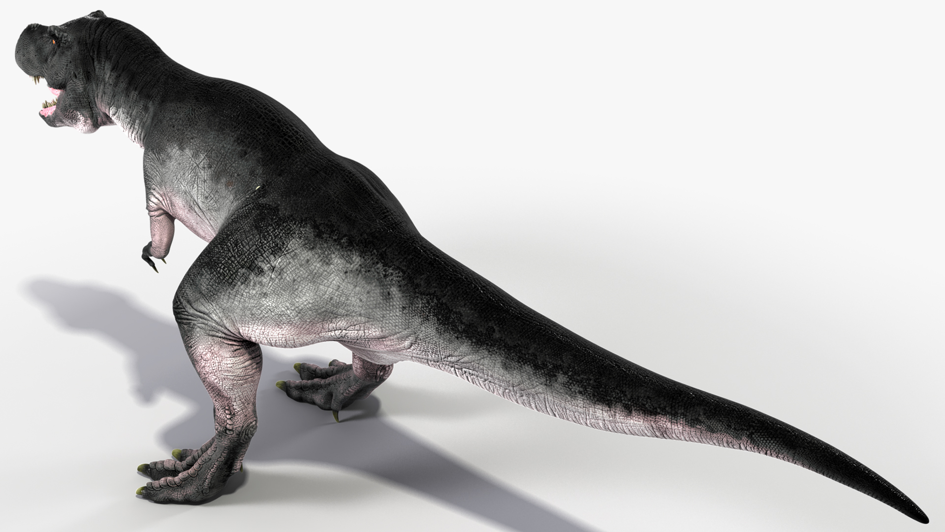 T Rex Standart Pose 3D model