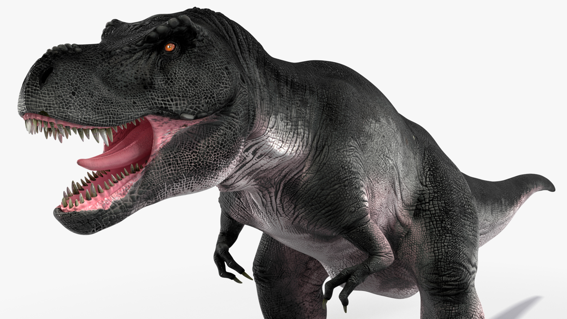 T Rex Standart Pose 3D model