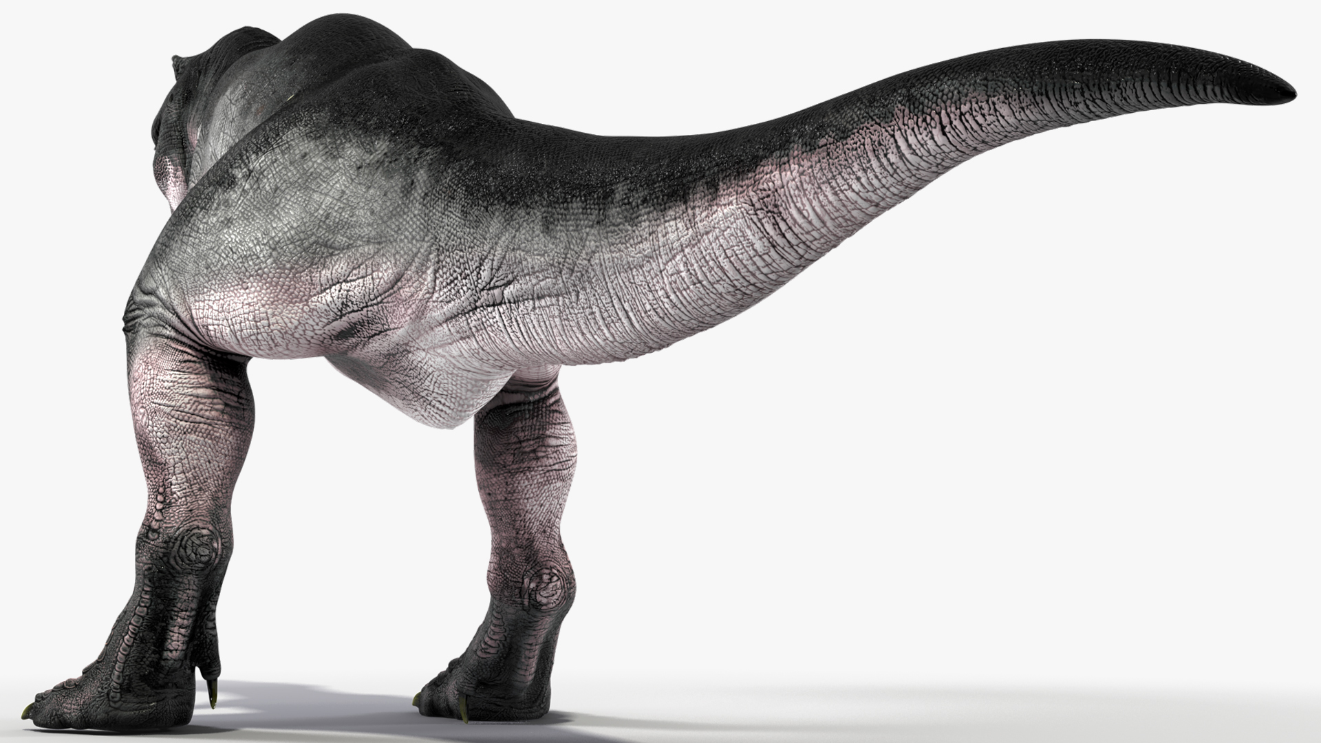 T Rex Standart Pose 3D model