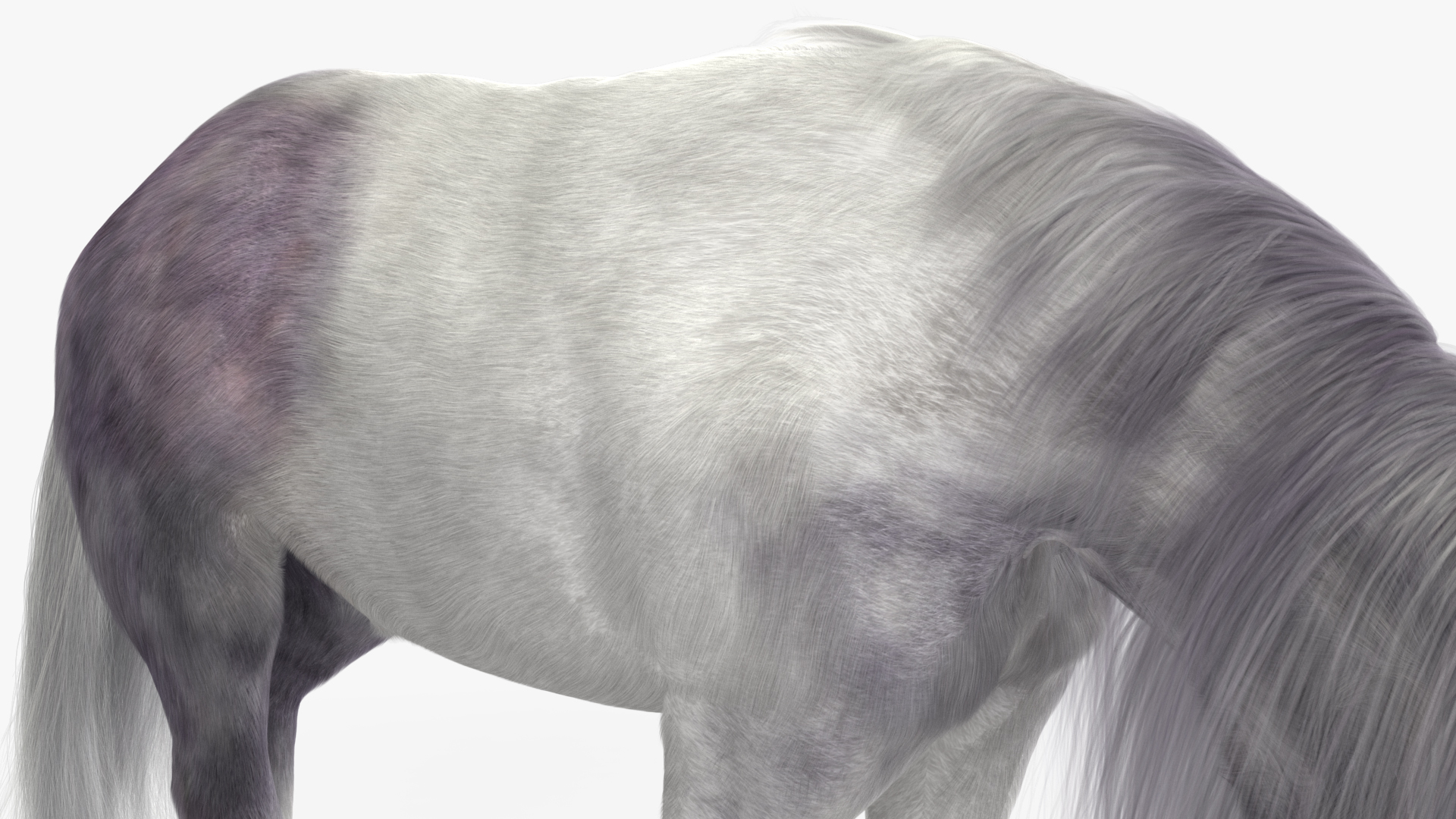 White Pony with Long Mane Grazing Fur 3D
