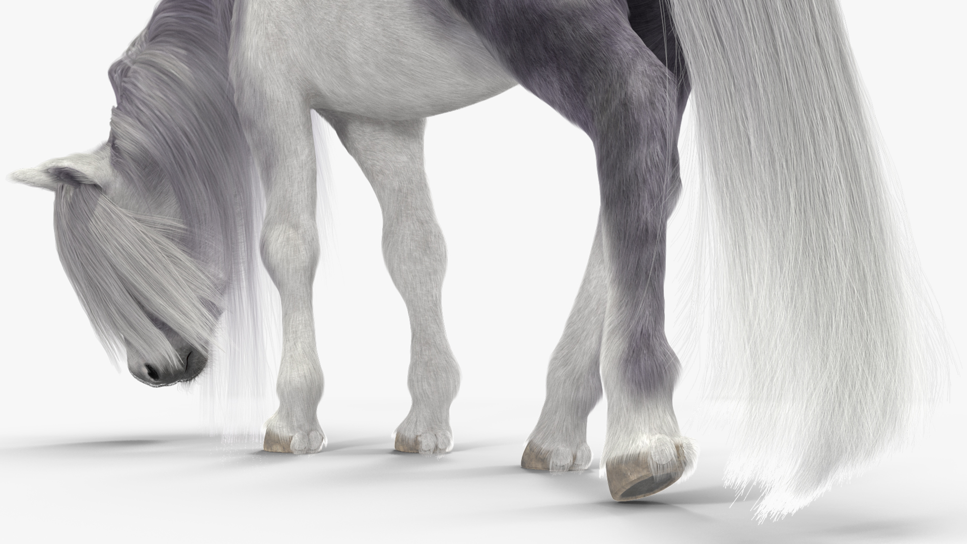 White Pony with Long Mane Grazing Fur 3D